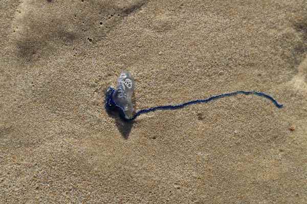 Reise Familie Australien Roadtrip