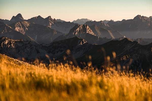 Oktober: Großer Daumen