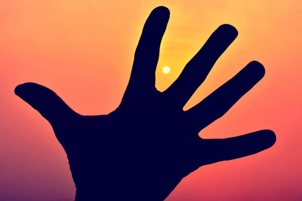 Rolf Majcens Hand im Sonnenaufgang am Harzberg bei Bad Vöslau, Niederösterreich