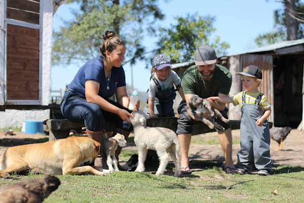 Elternzeit-Roadtrip mit Camper Südamerika 