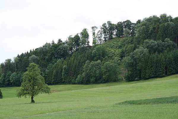 Wall der einstigen Burg Alt-Bichelsee