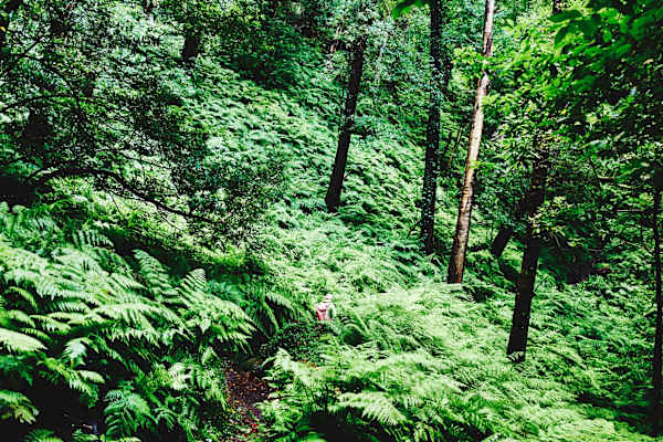 Bergwelten.com La Palma