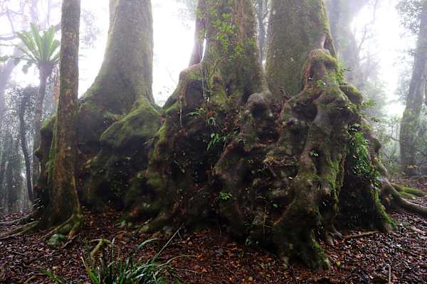 Reise Familie Australien Roadtrip