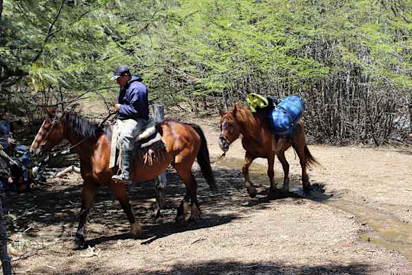 Reise Chile Skitouren