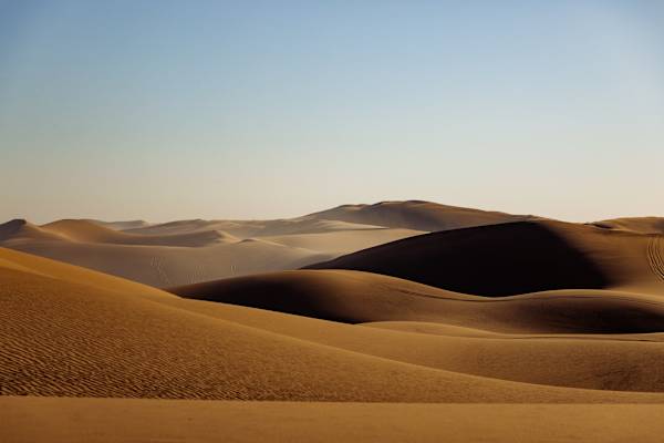 Carolin Unrath Photo-Rookie