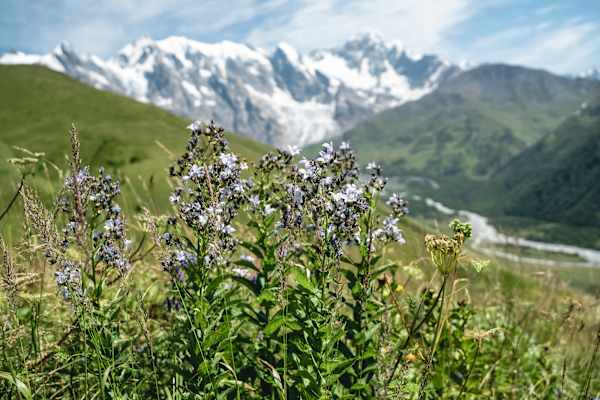 Ein letzter Blick zurück zum Gletscher.