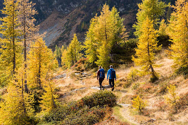 Im Herbst leuchten die Lärchen goldgelb auf der Trekking delle Aquile