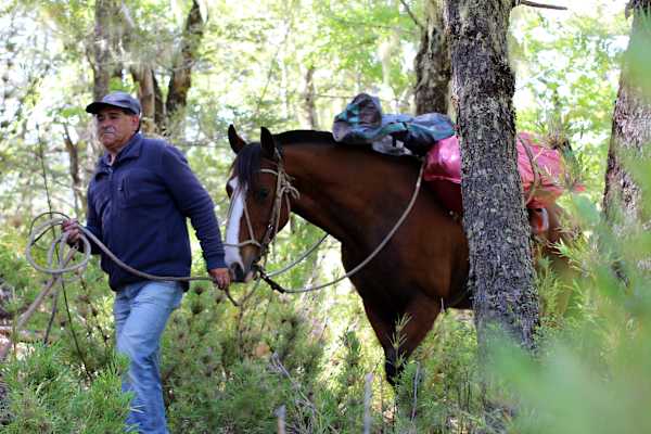 Reise Chile Skitouren