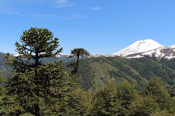 Reise Chile Skitouren