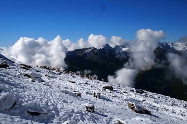 Wintereinbruch im Juli: Entlang des Osttiroler Pilgerwegs oberhalb der Sajathütte