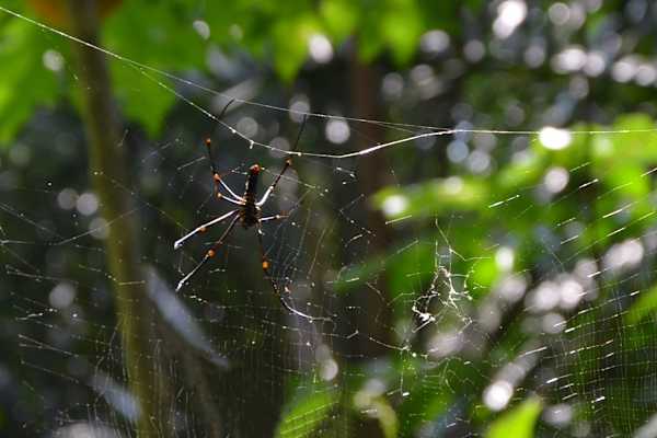 Reise Familie Australien Roadtrip