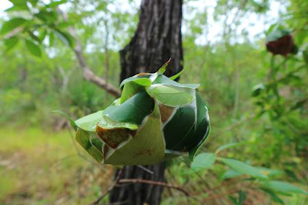 Reise Familie Australien Roadtrip