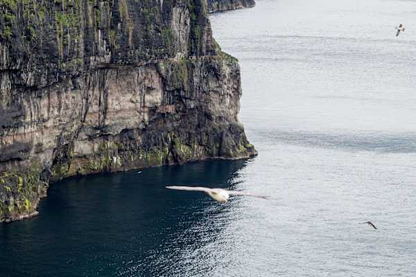 Färöer Inseln Wandern