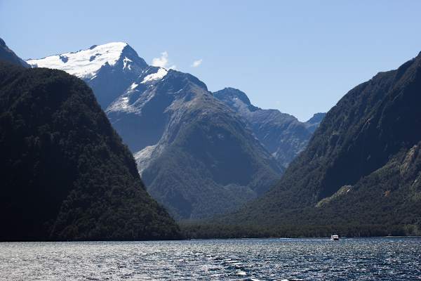 Die Meereszunge Milford Sound
