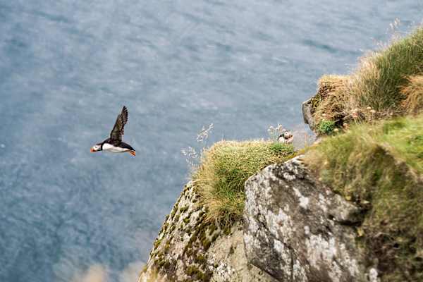 Färöer Inseln Wandern