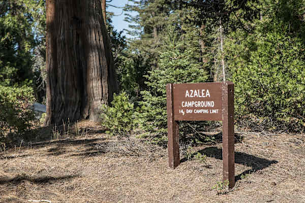 Mammutbäume Kalifornien Sierra Nevada