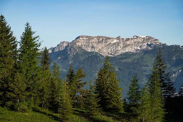 Bergpanorama im Alpbachtal