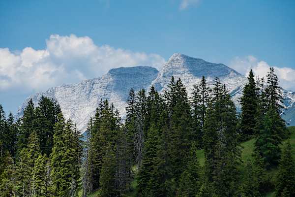 Bergpanorama im Alpbachtal