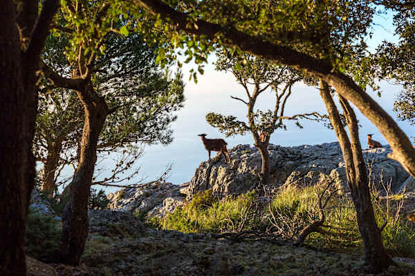 Wandern auf Mallorca