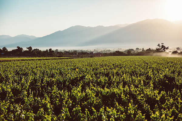 Bergwelten Argentinien