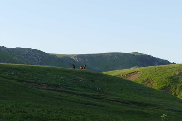 Montenegro Trekking Via Dinarica