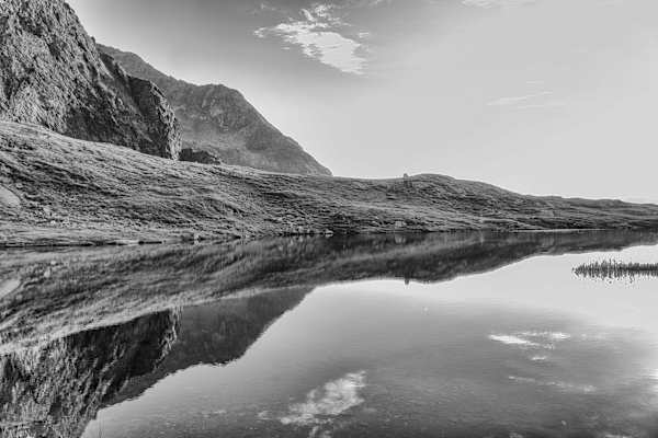 Schwarz weißes Gradental