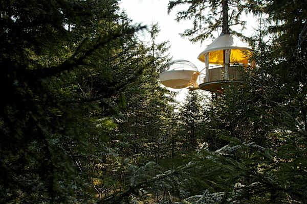 Hochseilpark Böhmerwald