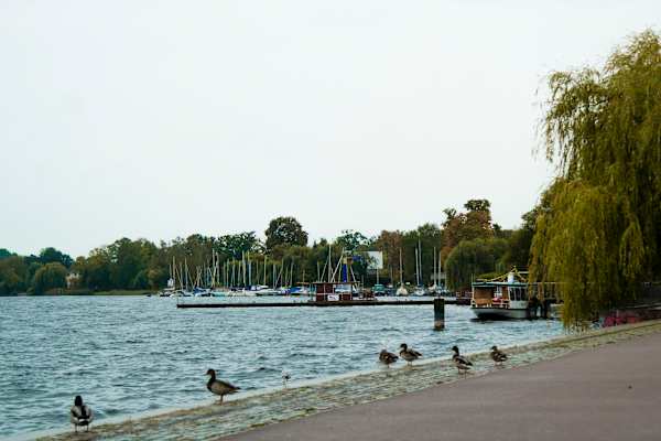 Fahrtwind Deutschland