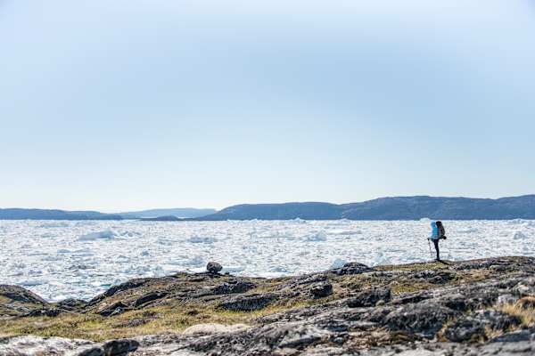 Trekking Grönland