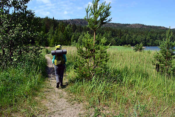 Skuleskogen Nationalpark Wandern