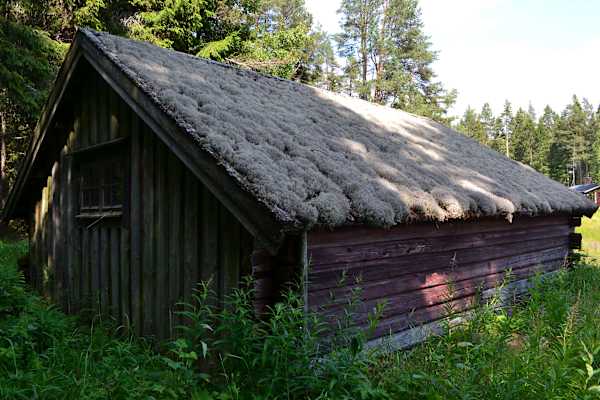 Skuleskogen Nationalpark Wandern