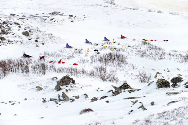 Langlaufen Skandinavien