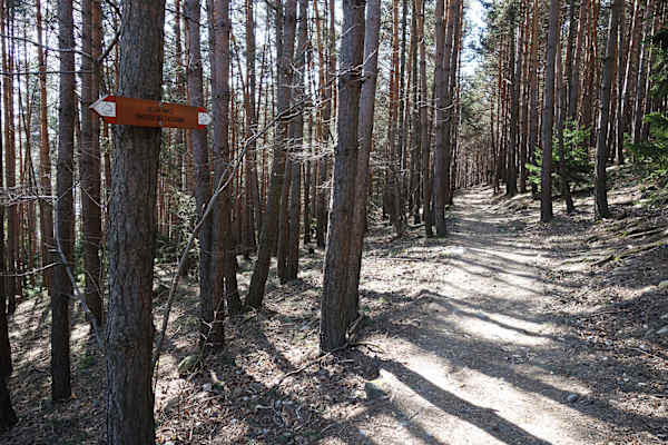 Der Keschtnweg in Südtirol