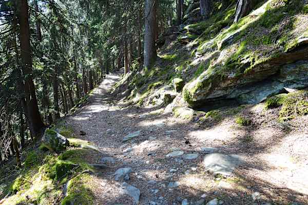 Der Keschtnweg in Südtirol