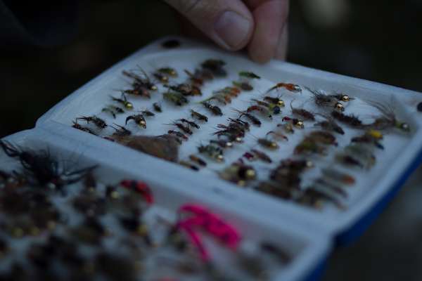 Fliegen-Köder in der Box