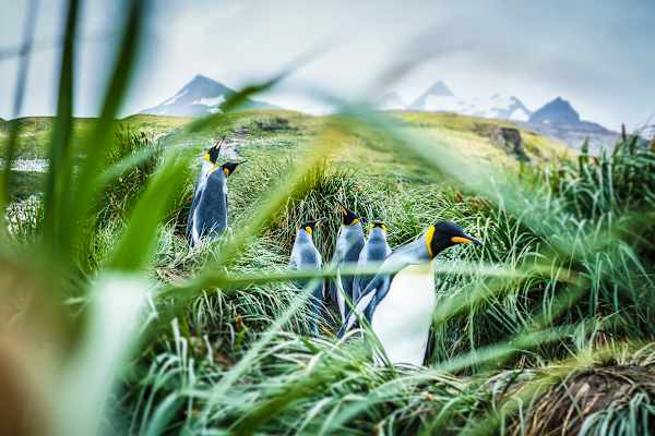 Polarmeer Fotostrecke