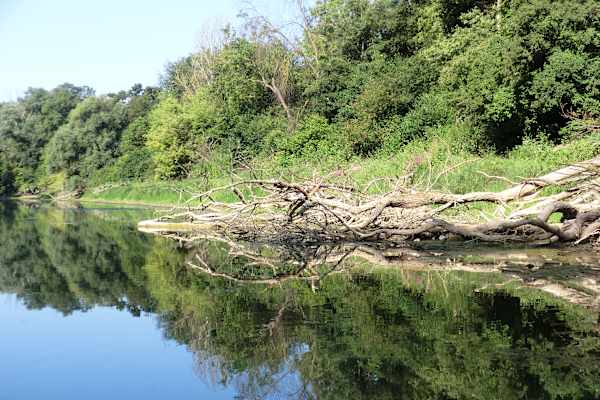 Nationalpark Donau-Auen