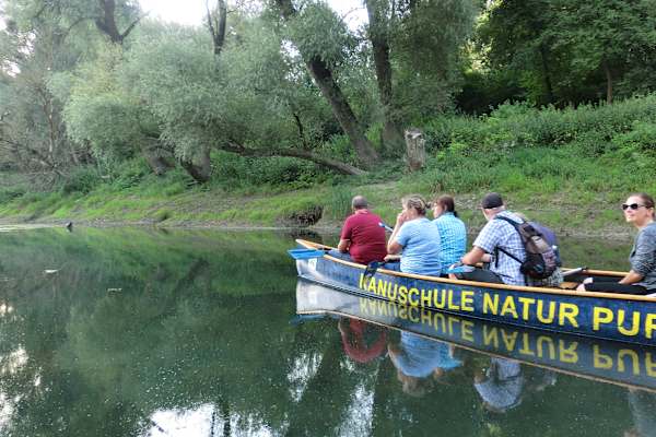 Nationalpark Donau-Auen, Kanufahrt