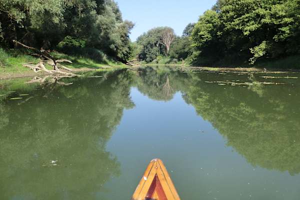 Nationalpark Donau-Auen