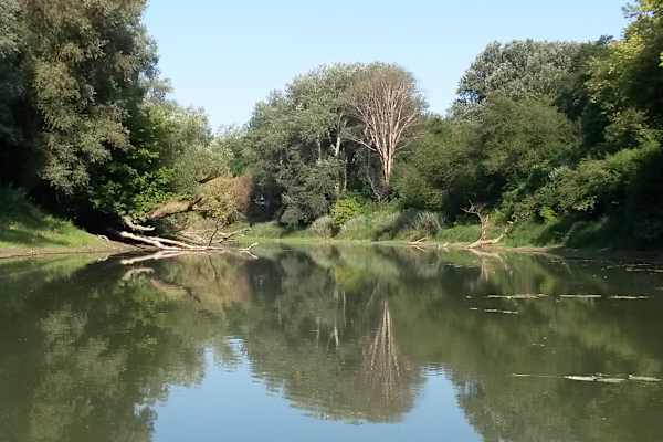 Nationalpark Donau-Auen