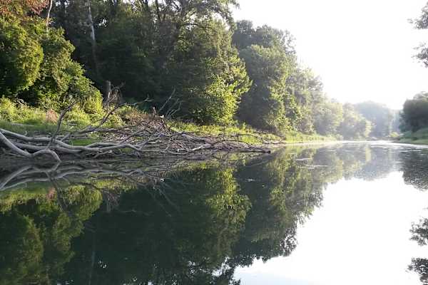 Nationalpark Donau-Auen