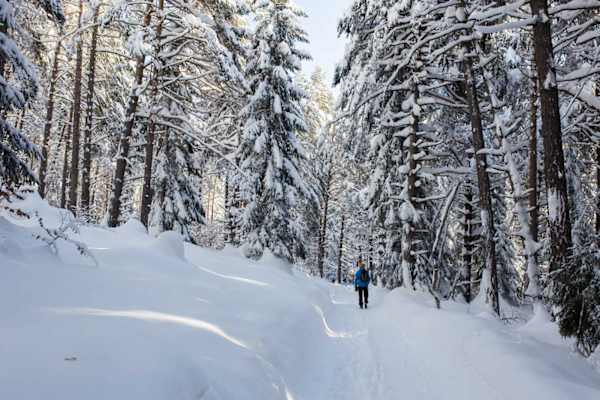 Seefeld Winterweitwanderweg 