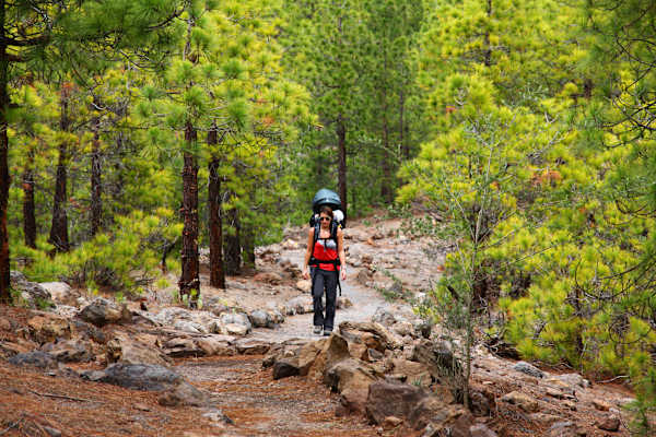 Campen mit Kindern VW California