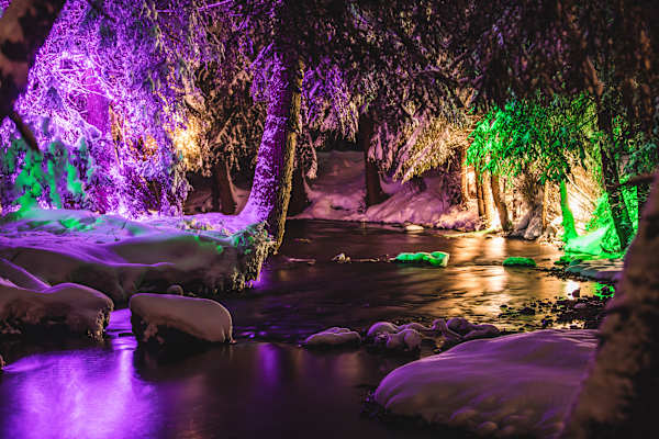 Zauberwald Lenzerheide