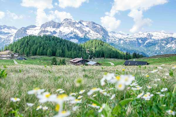 Blick auf die idyllische Gotzenalm inklusive Bergpanorama.