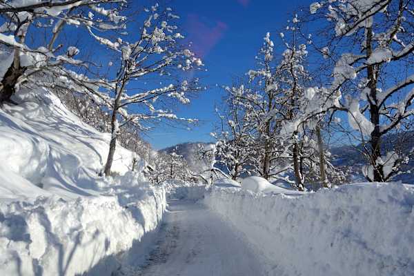 Reise Freeriden Georgien Bakhmaro