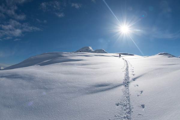 Skitouren Alaska Flugzeug Guschlbauer Bergwelten