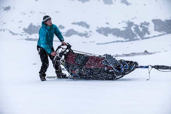 Heimatleuchten: Die Tour der Wolfshunde