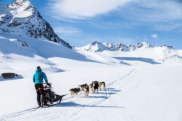 Heimatleuchten: Die Tour der Wolfshunde