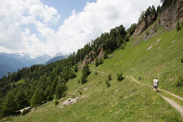 Zur Hühnerspielhütte